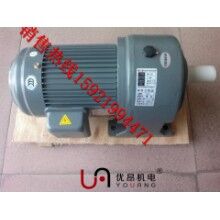 供應(yīng)商直銷(xiāo)GH28-750-10S臥式齒輪減速電機(jī)   宜賓，樂(lè)山三相減速電機(jī)價(jià)格