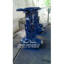 Z62Y鍛造閘閥，蒸汽鍛造閘閥