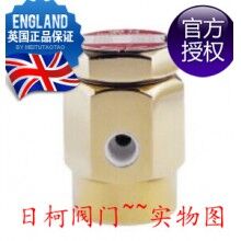 英國(guó)斯派莎克閥門(mén)VB14破真空器