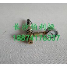 批發(fā)原裝正品攪拌機配件，三一JX3000潤滑油泵芯