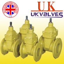 進(jìn)口天然氣閘閥.進(jìn)口閥門(mén)國(guó)外主導(dǎo)